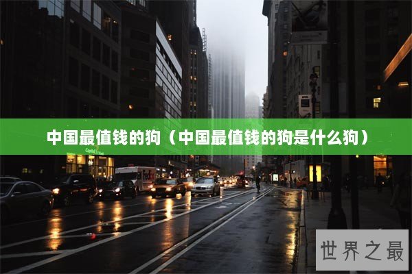 中国最值钱的狗（中国最值钱的狗是什么狗）