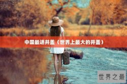 中国最进井盖（世界上最大的井盖）