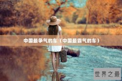 中国最争气的车（中国最霸气的车）