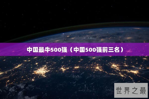中国最牛500强（中国500强前三名）