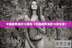 中国最费油的10款车（中国最费油的10款车型）