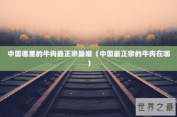 中国哪里的牛肉最正宗最嫩（中国最正宗的牛肉在哪）