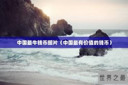 中国最牛钱币图片（中国最有价值的钱币）
