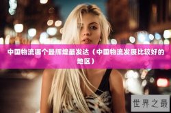 中国物流哪个最辉煌最发达（中国物流发展比较好的地区）