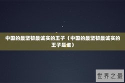 中国的最坚韧最诚实的王子（中国的最坚韧最诚实的王子是谁）