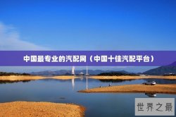 中国最专业的汽配网（中国十佳汽配平台）