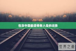 包含中国最遗憾老人是的词条