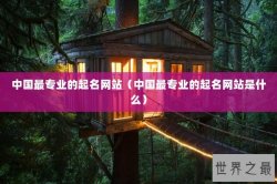 中国最专业的起名网站（中国最专业的起名网站是什么）