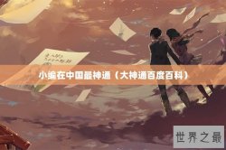 小编在中国最神通（大神通百度百科）