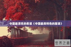 中国最漂亮的着装（中国最具特色的服装）