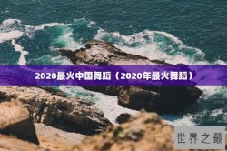 2020最火中国舞蹈（2020年最火舞蹈）
