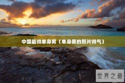 中国最帅单身男（单身男的照片帅气）