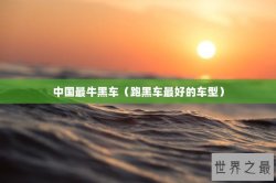 中国最牛黑车（跑黑车最好的车型）