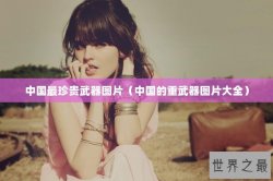 中国最珍贵武器图片（中国的重武器图片大全）