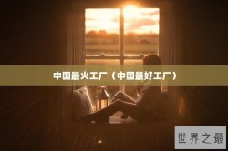 中国最火工厂（中国最好工厂）