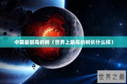 中国最狠毒的树（世界上最毒的树长什么样）