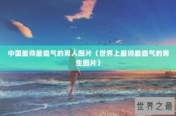 中国最帅最霸气的男人图片（世界上最帅最霸气的男生图片）