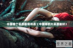 中国哪个草原最值得去（中国哪的大草原最好）