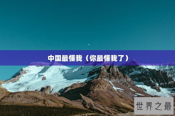 中国最懂我（你最懂我了）