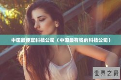 中国最便宜科技公司（中国最有钱的科技公司）