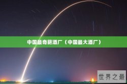 中国最奇葩酒厂（中国最大酒厂）