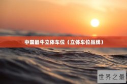 中国最牛立体车位（立体车位品牌）