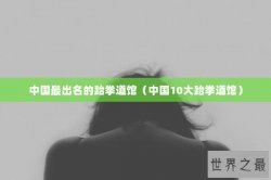 中国最出名的跆拳道馆（中国10大跆拳道馆）