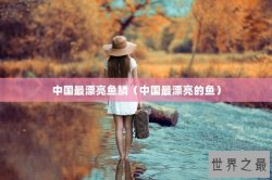 中国最漂亮鱼鳞（中国最漂亮的鱼）
