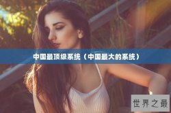 中国最顶级系统（中国最大的系统）