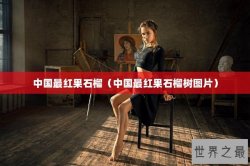 中国最红果石榴（中国最红果石榴树图片）