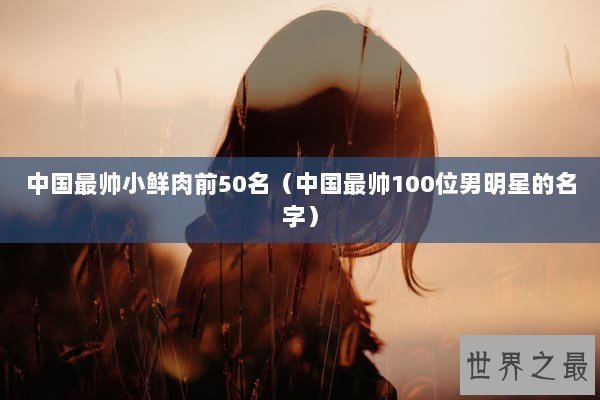 中国最帅小鲜肉前50名（中国最帅100位男明星的名字）