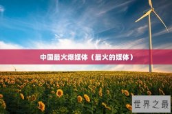 中国最火爆媒体（最火的媒体）