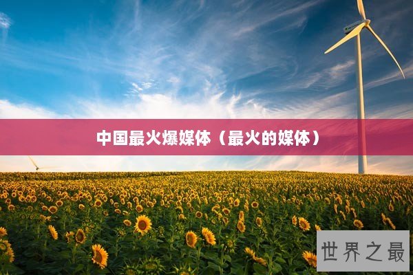 中国最火爆媒体（最火的媒体）