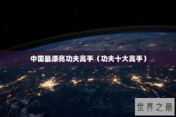 中国最漂亮功夫高手（功夫十大高手）