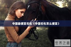 中国最便宜石化（中国石化怎么便宜）