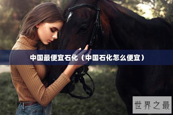 中国最便宜石化（中国石化怎么便宜）