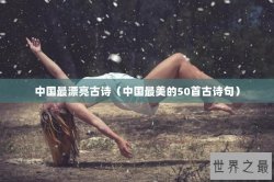 中国最漂亮古诗（中国最美的50首古诗句）