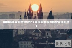 中国最赚钱的民营企业（中国最赚钱的民营企业排名）