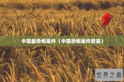 中国最恐怖案件（中国恐怖案件数量）