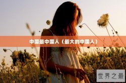 中国最中国人（最大的中国人）