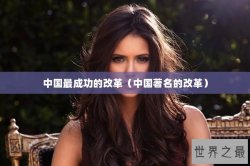 中国最成功的改革（中国著名的改革）