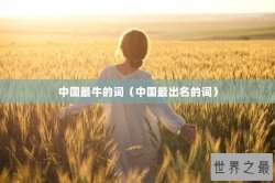 中国最牛的词（中国最出名的词）