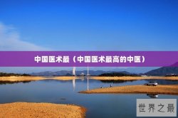 中国医术最（中国医术最高的中医）
