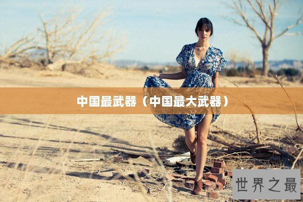 中国最武器（中国最大武器）