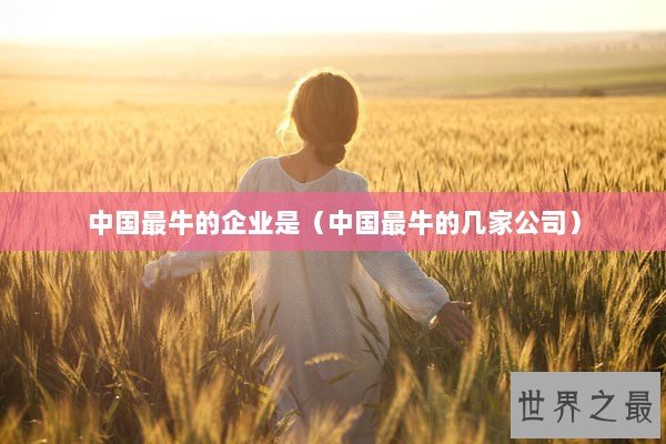 中国最牛的企业是（中国最牛的几家公司）