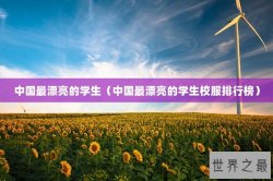 中国最漂亮的学生（中国最漂亮的学生校服排行榜）
