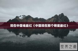 现在中国谁最红（中国现在那个明星最红）