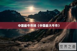 中国最牛市场（中国最大牛市）