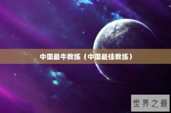 中国最牛教练（中国最佳教练）