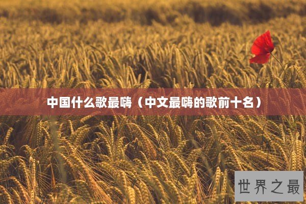 中国什么歌最嗨（中文最嗨的歌前十名）